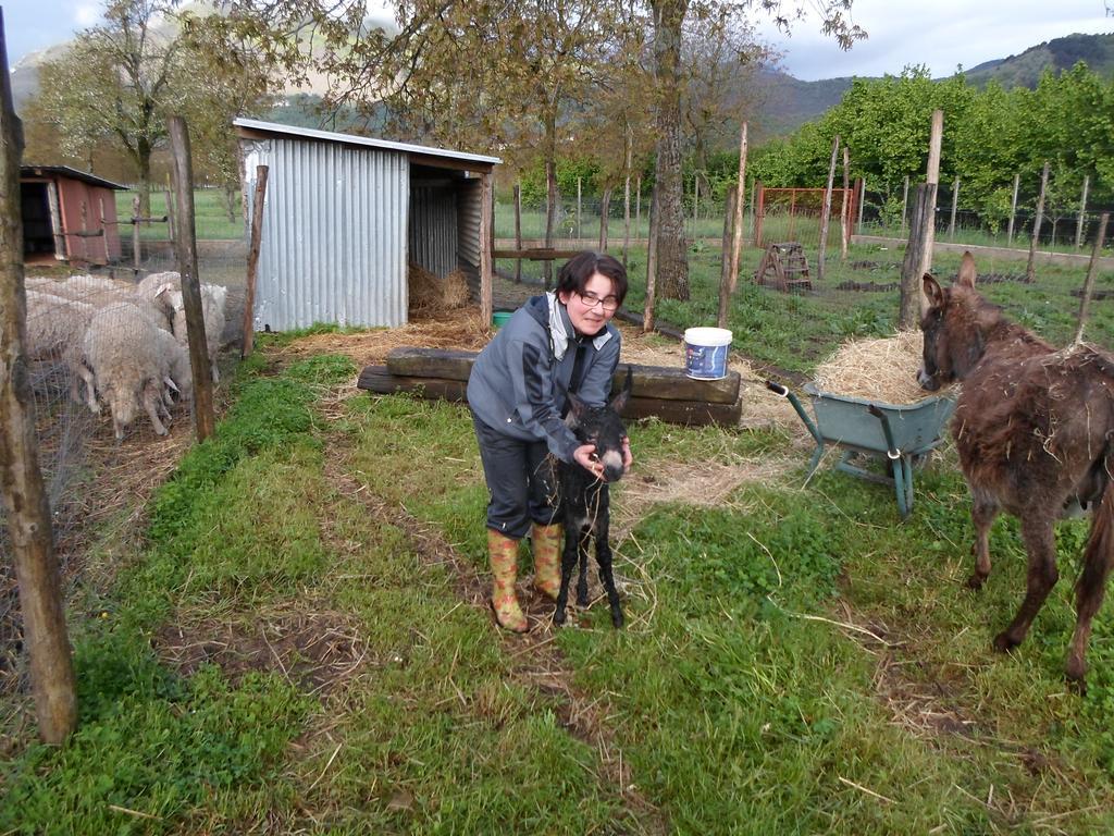 Azienda Agrituristica Pericle Montella Eksteriør billede