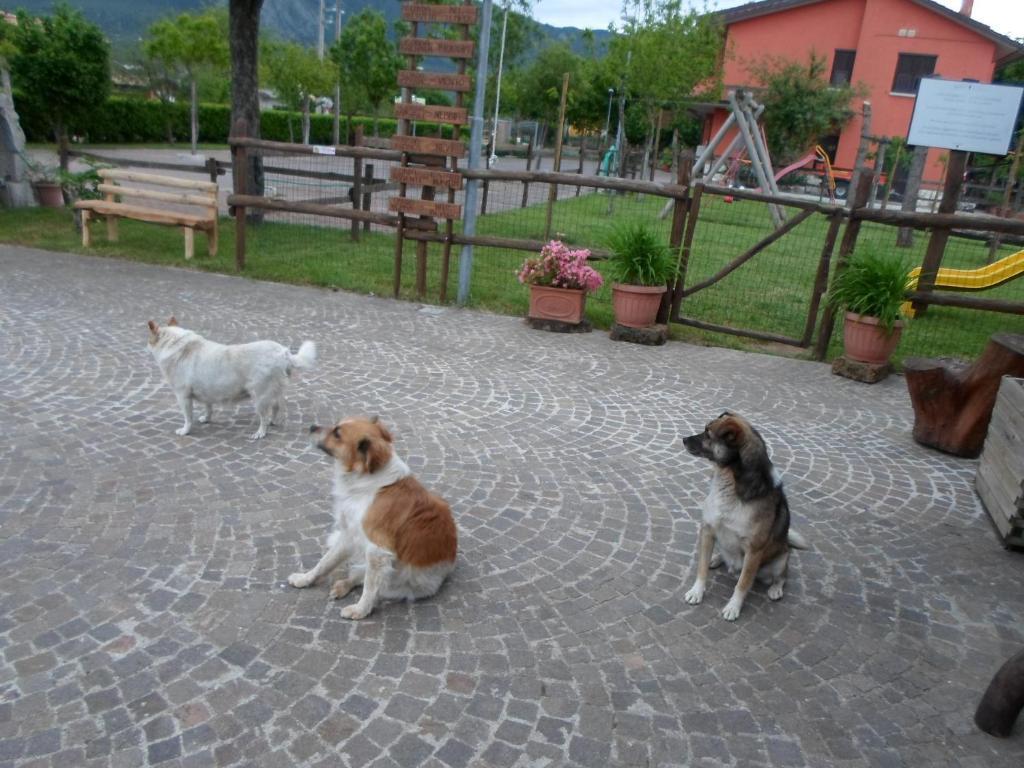 Azienda Agrituristica Pericle Montella Eksteriør billede