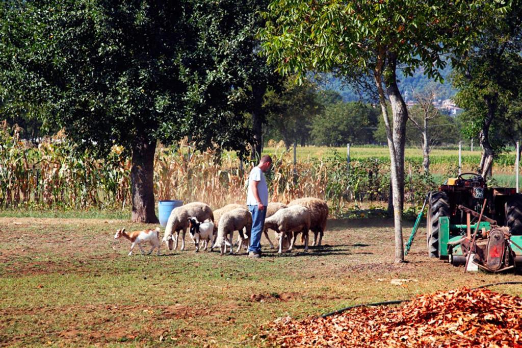Azienda Agrituristica Pericle Montella Eksteriør billede