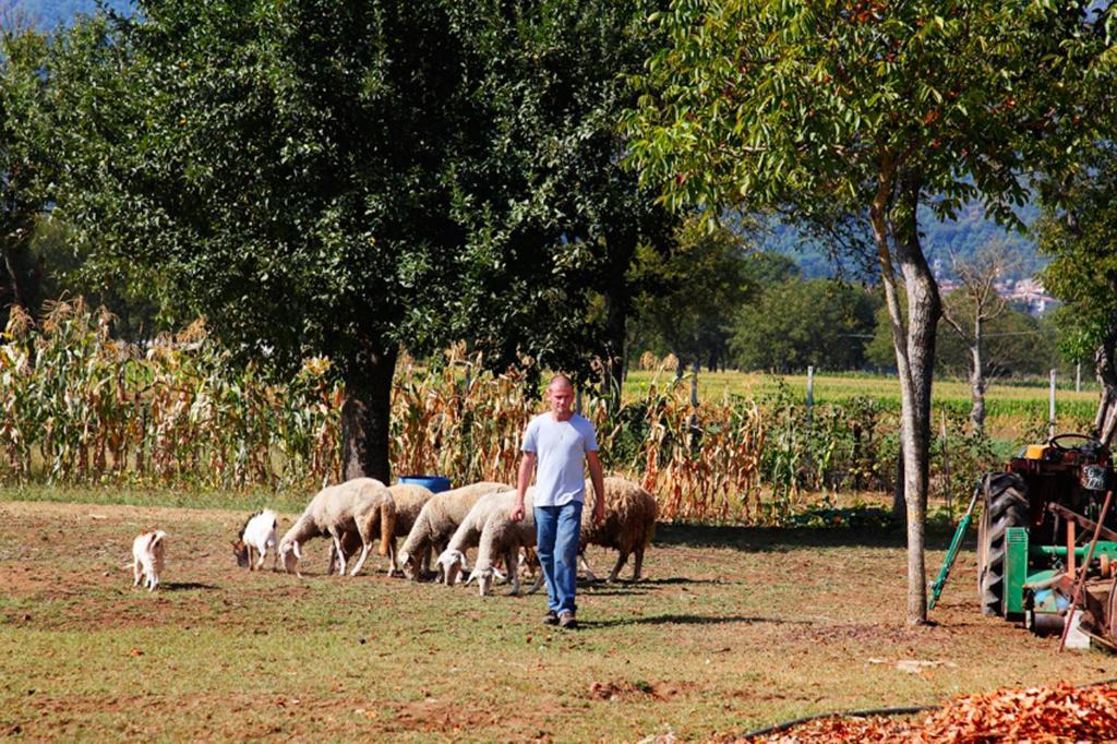 Azienda Agrituristica Pericle Montella Eksteriør billede
